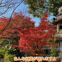 【知多半島】半六庭園で紅葉鑑賞