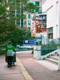 香港 ｜ 尖沙咀 鬧市裡的寶藏博物館