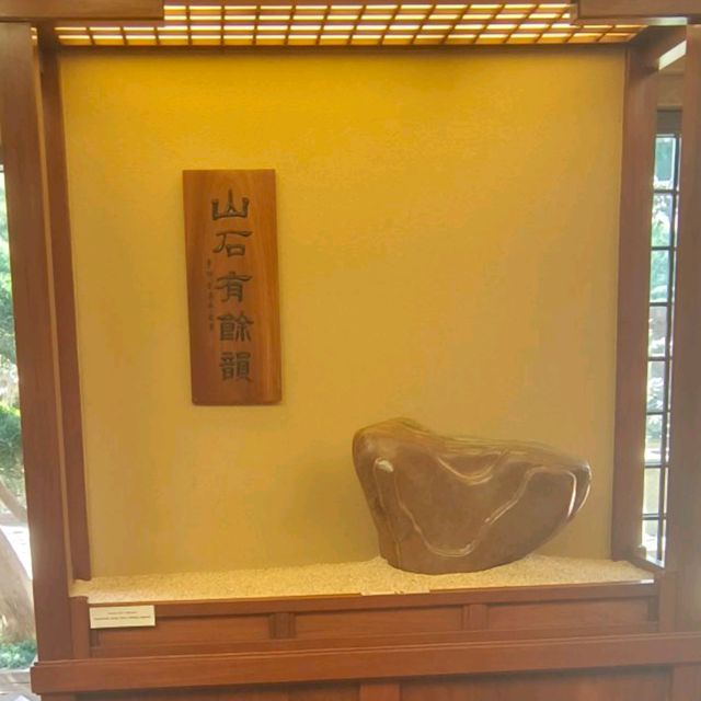 靜觀石頭的紋路變化！觀石餘韻！希望情比石堅！