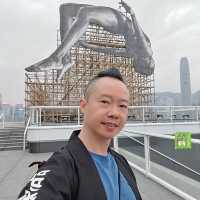 維港打卡藝術品