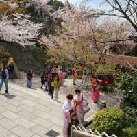 Kiyomizu-dera, Kyoto in Spring! 🌸🍀🌿🌱