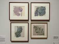 香港展覽 | M+ | 草間彌生：一九四五年至今