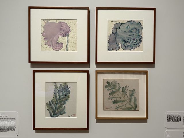 香港展覽 | M+ | 草間彌生：一九四五年至今