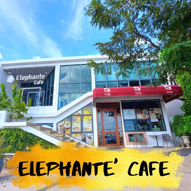 🤠ช้างคาเฟ่