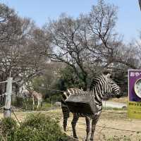 大阪周遊卡行程·天王寺動物園