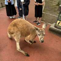 親親大動物 - 九州自然動物園