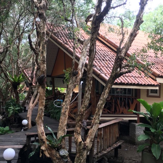 Relaxing Resort