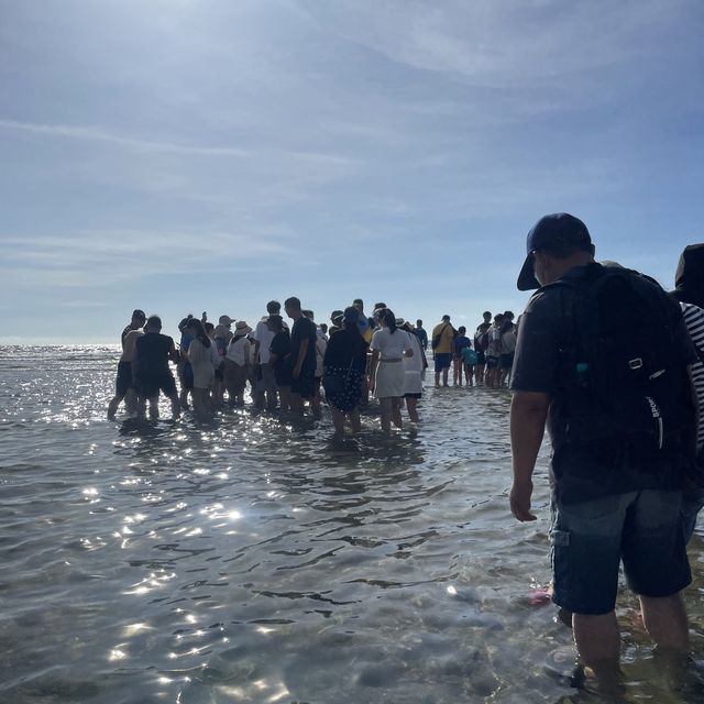 蛤板灣海灘🏖
