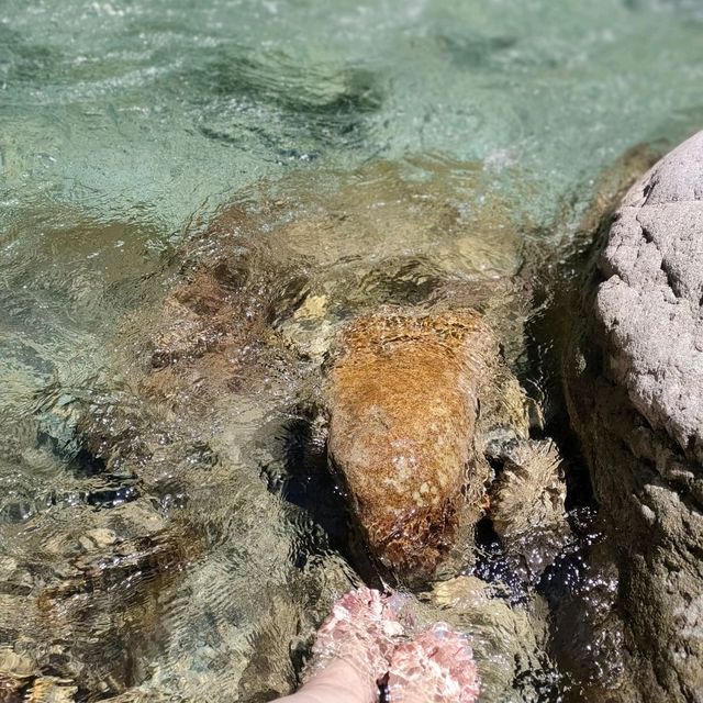 岩魚の里　狭　付知峡