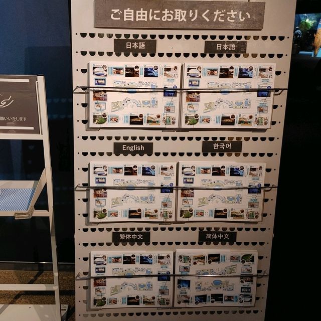 海の生き物ってどうやって眠るの？　夜の京都水族館