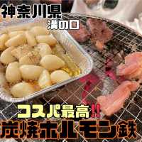 【神奈川県/溝の口】炭焼ホルモン鉄