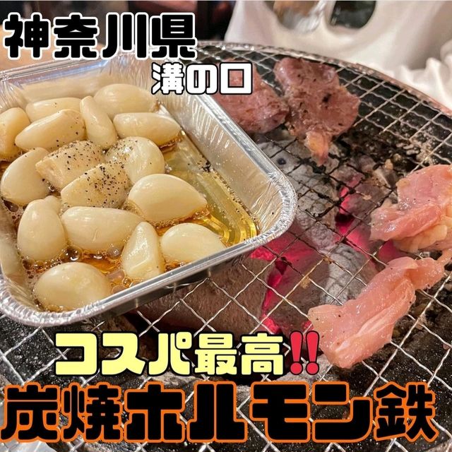 【神奈川県/溝の口】炭焼ホルモン鉄