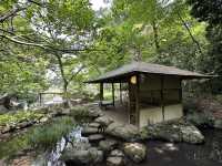 東京・文京区。江戸二大庭園の一つ『六義園』