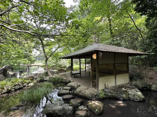 東京・文京区。江戸二大庭園の一つ『六義園』