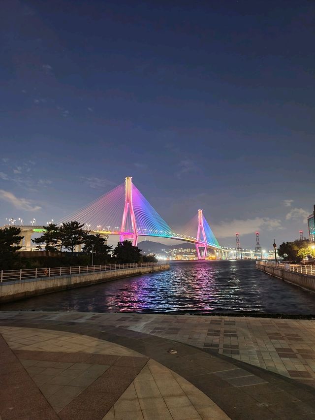 청학수변공원에서 부산항대교 야경즐기기✨️