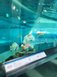 부산 영도여행코스로 추천!국립해양박물관🐠