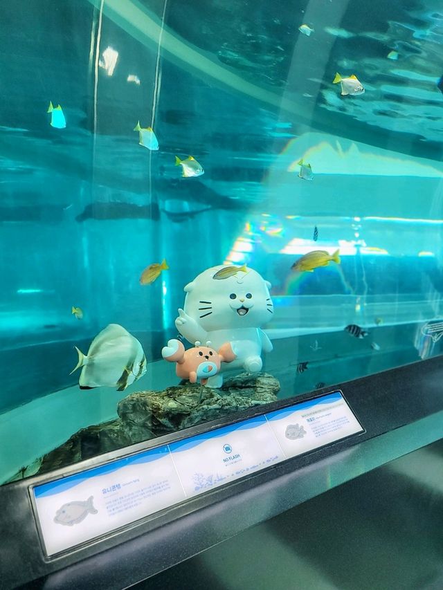 부산 영도여행코스로 추천!국립해양박물관🐠