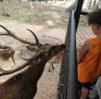 Chiang Mai Zoo