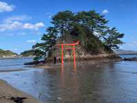 【福岡】ジブリのような景色が広がる大島🚢