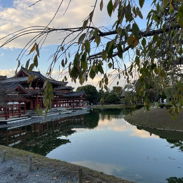 京都   平等院