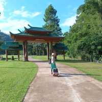森の中の瞑想寺