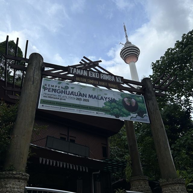 鬧市中最原始的森林