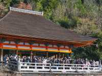 Hatsumōde at Kiyomizu-dera ⛩️