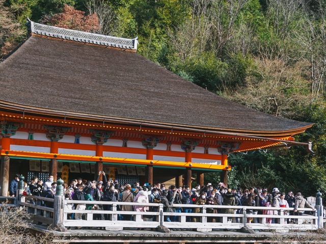 Hatsumōde at Kiyomizu-dera ⛩️