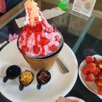 ไร่องุ่นหอมแผ่นดิน ท่าตอน แม่อาย เชียงใหม่