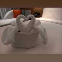 Garden Inn High Floor