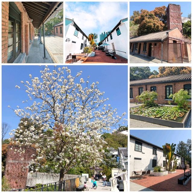 文藝寂靜之地~饒宗頤文化館🏡