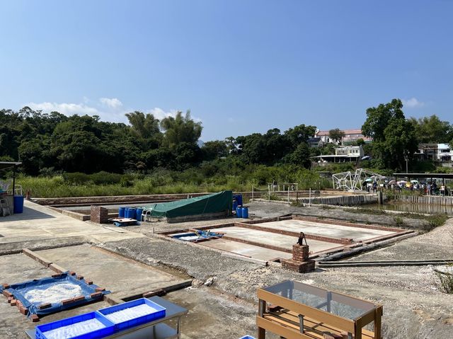 昔日香港的製鹽場