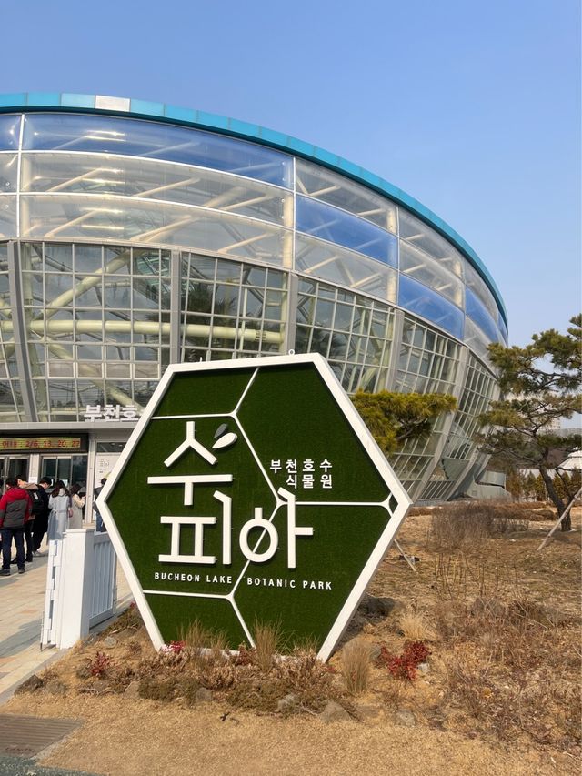 부천 실내 데이트로 강추하는 상동호수공원 수피아 식물원 🌿