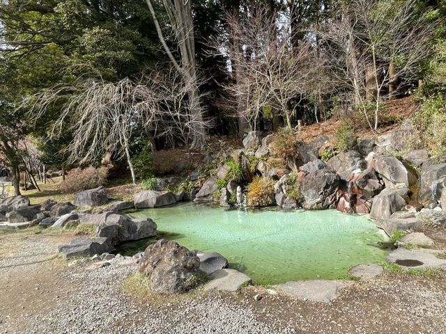 【鹿児島】坂本龍馬も訪れた霧島神宮