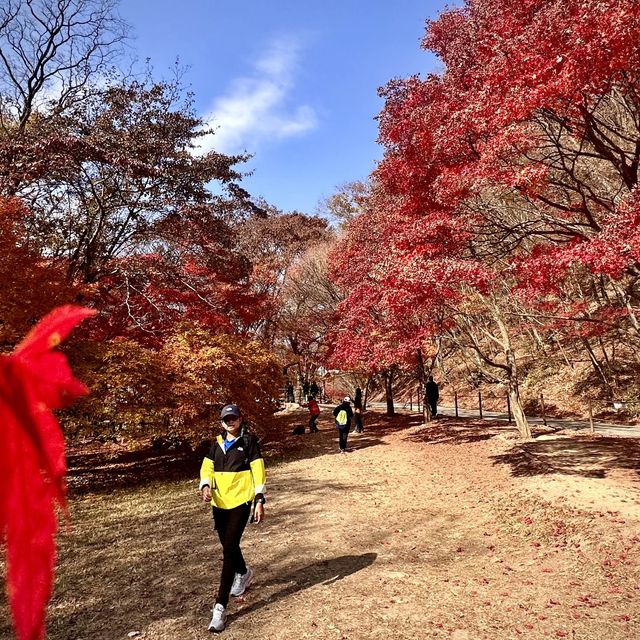 The most beautiful autumn place in korea . 