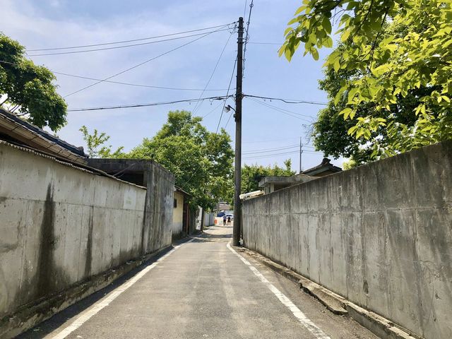 대전에서 태국감성 대전 소제동에서 파릇파릇한 동남아 느낌을 !