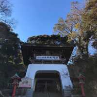 東京一小時車程近郊半日遊🫶🏻🫶🏻江島神社⛩️欣賞美麗海岸