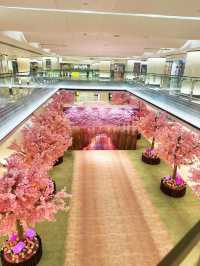 ⭐️原來係最後一日😱黃埔「5月限定櫻花🌸の旅」