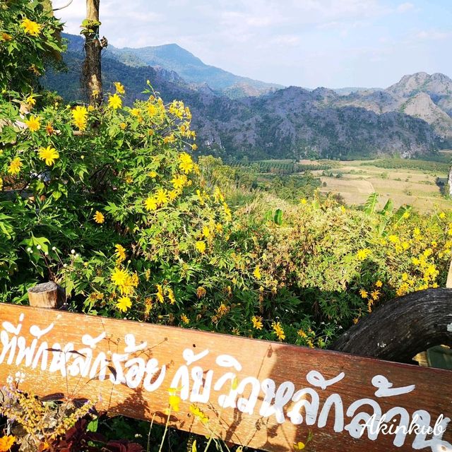 ชมพระอาทิตย์ขึ้น วิวภูลังกา พะเยา