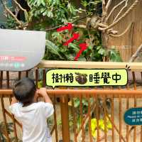 《近距離睇樹懶🦥隱藏的新展館🤩》