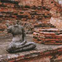 遊泰國🇹🇭大城瑪哈泰寺