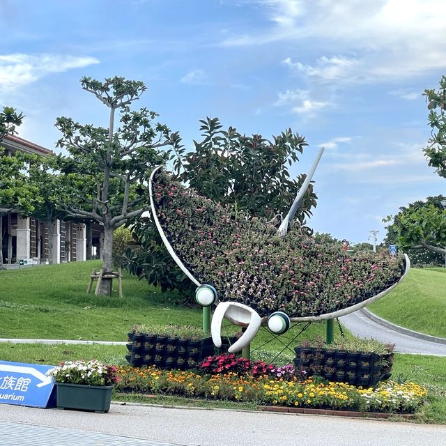 沖繩海洋博公園-十多個景點玩足全日