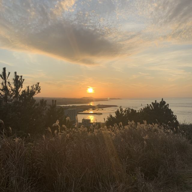 제주공항 근처 노을구경 “도두봉”☀️