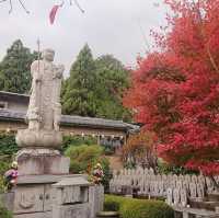 「京都西山正法寺」值得遊歷