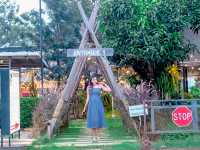 เที่ยวเขาใหญ่ พักกันที่ Nay Joe Resort Khao Yai 