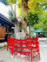 【名古屋】縁結びの木も！うさぎさんがかわいい三輪神社🐰⛩