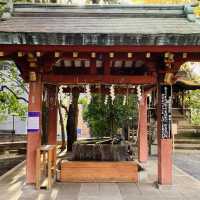 渋谷のど真ん中にある神社 - 金王八幡宮 -