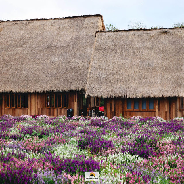 Hokkaido Flower Park Khaoyai