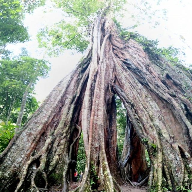 「泰國最南端小鎮勿洞：周末度假勝地，適合放鬆心情」