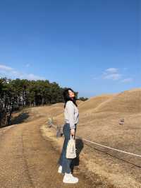 숨겨진 부산여행지